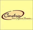 ConeBric