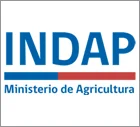 INDAP